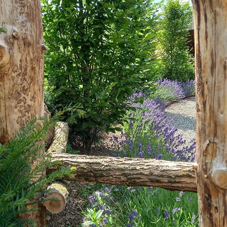 Le Jardin Des Fagnes Villa Robertville Eksteriør bilde