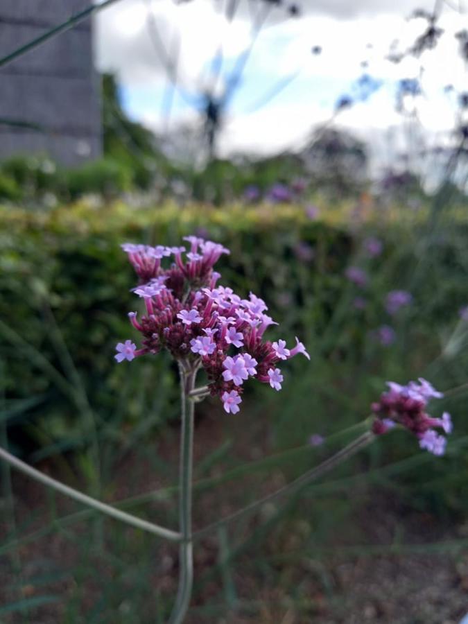 Le Jardin Des Fagnes Villa Robertville Eksteriør bilde