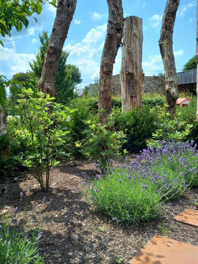 Le Jardin Des Fagnes Villa Robertville Eksteriør bilde